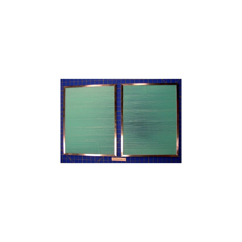 Honeywell 50000293-001 High Air Flow Media Post-Filter (2-Pack)