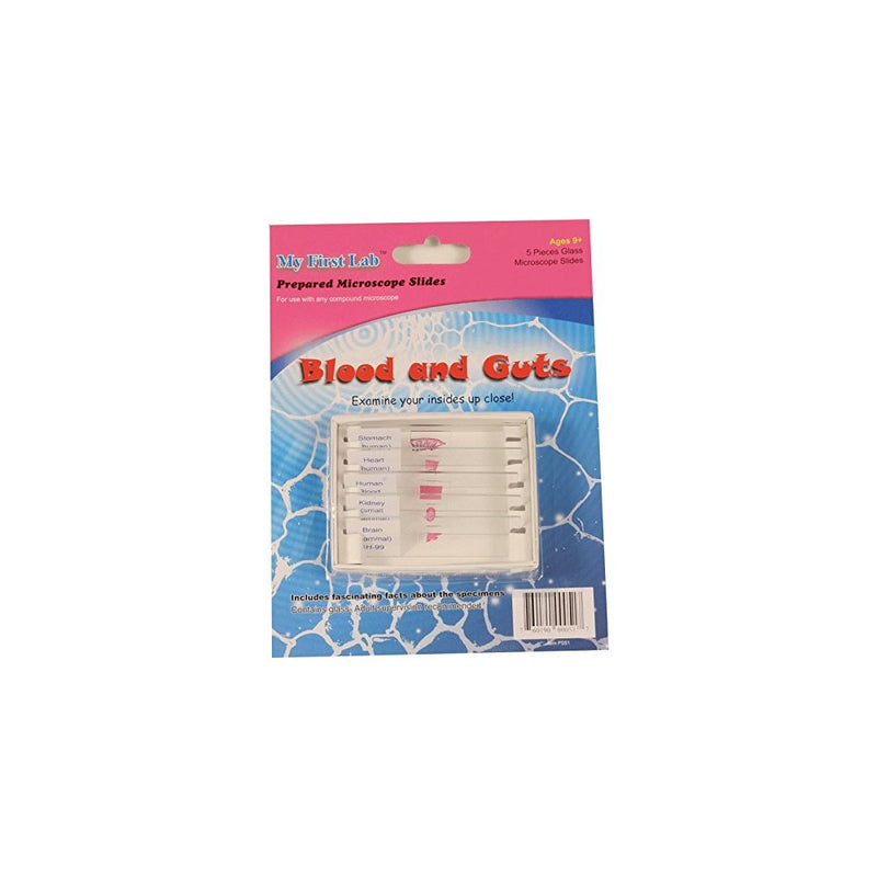 Microscope Prepared Slide Set - Blood & Guts (5 Slides)