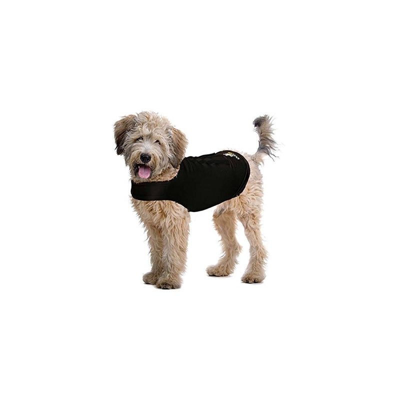 D.T. Systems Add-on or Replacement Beeper Collar Receiver for Dogs, Black