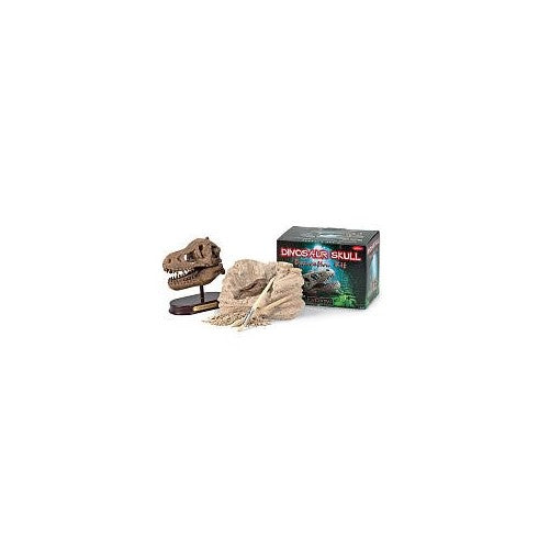 GeoCentral Excavation Dig Kit: Dino Skull