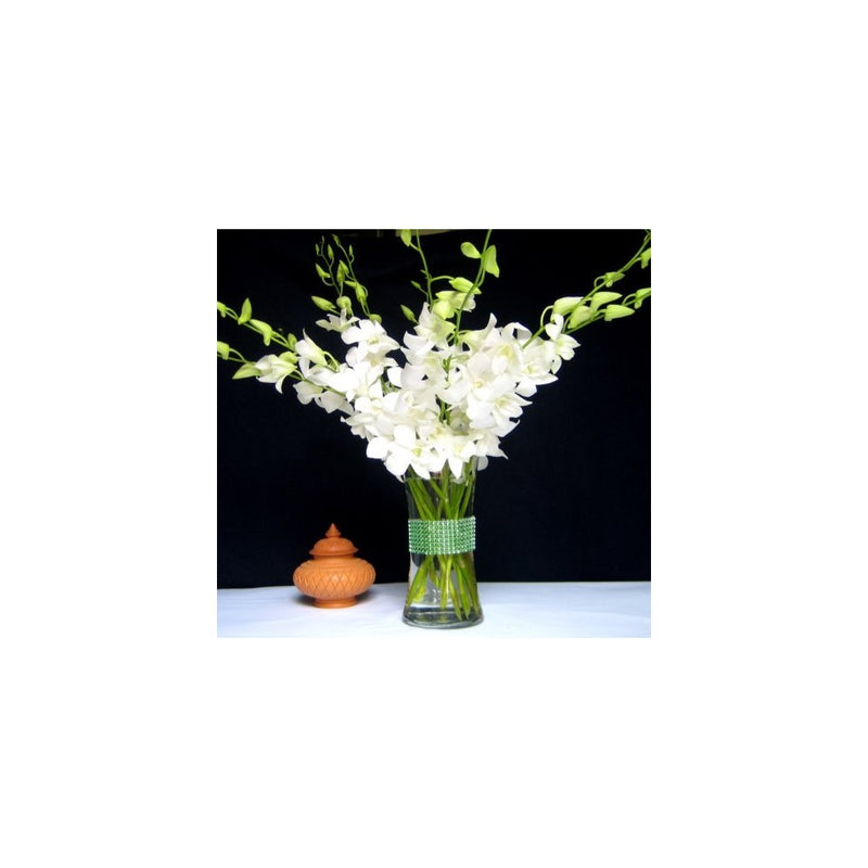 Fresh Flowers White Dendrobium Orchids with Vase