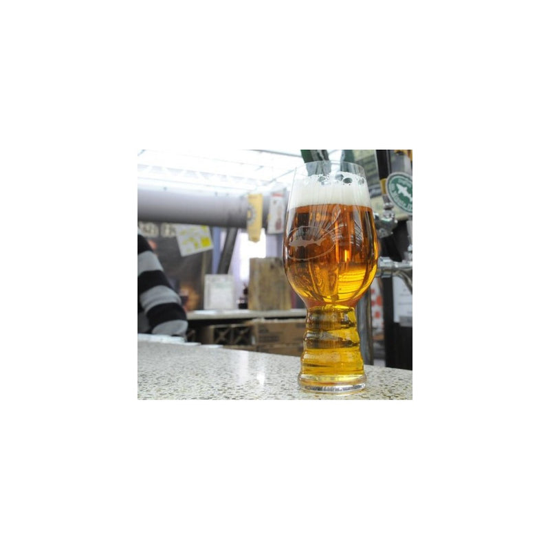 Dogfish Head Rare IPA Glass