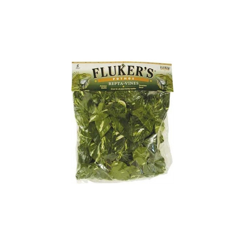Fluker's Repta Vines-Pothos for Reptiles and Amphibians