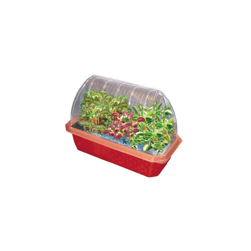 DuneCraft Windowsill Greenhouses - Venus Fly Trap
