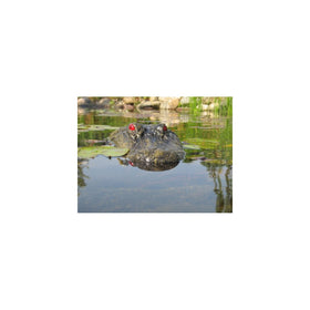 22" Alligator Head Decoy & Pond Float with Reflective Eyes For Canada Geese & Blue Heron Control