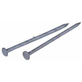 HILLMAN FASTENERS 461473 4" 20D Galvanized Common Nail