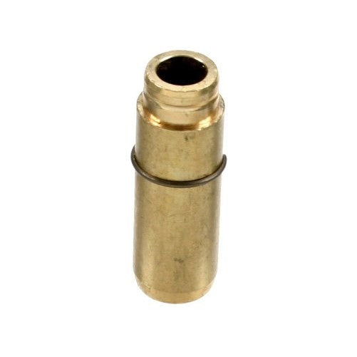 Canyon Engine Valve Guide