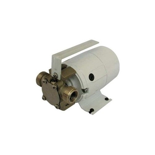 Dayton 5UXL9 Utility Pump 115VAC