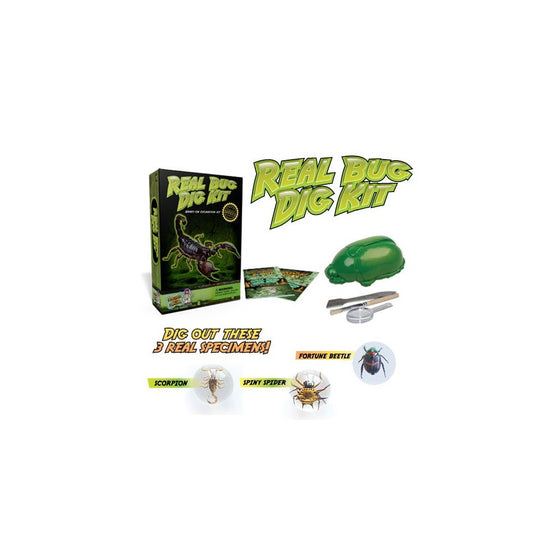 Real Insect Excavation Kit – Dig, Discover, and Collect 3 Real Bugs!