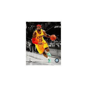 LeBron James 2014-15 Spotlight Action Photo 8 x 10in