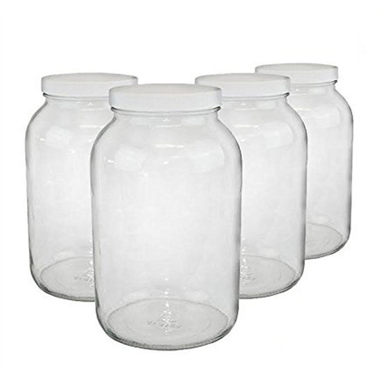 1-gallon USDA Fermentation Glass Jars, Set of 4