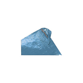 Texsport Reinforced Rip-Stop Polyethylene Tarp (Blue, 6 x 8-Feet)