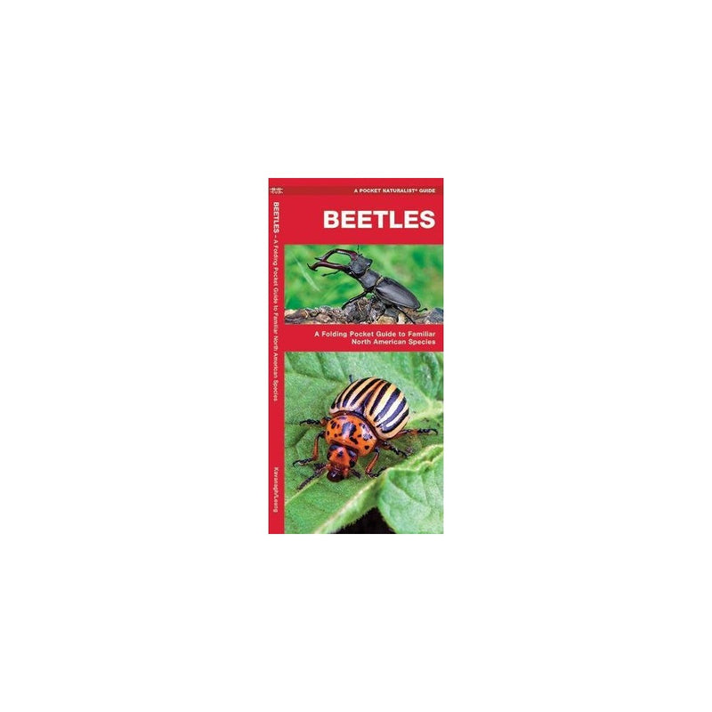 Beetles: A Folding Pocket Guide to Familiar North American Species (A Pocket Naturalist Guide)