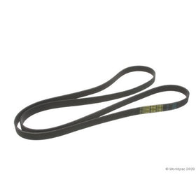 ContiTech Multi Rib Belt
