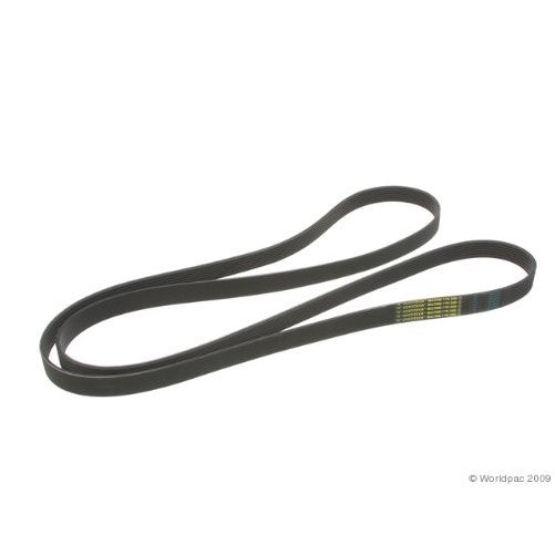 ContiTech Multi Rib Belt