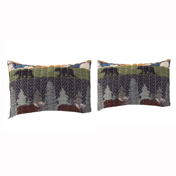 26 x 20 Inches Pillow Sham with Nature Inspired Print, Multicolor
