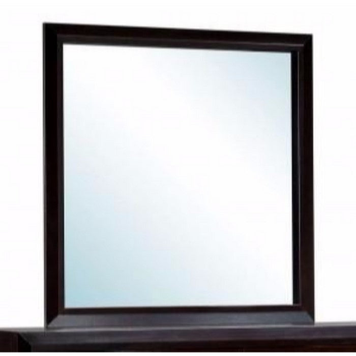 Janine Transitional Style Dark Espresso Mirror