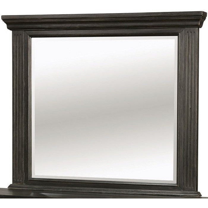 Roisin Transitional Style Mirror, Wire-Brushed Black