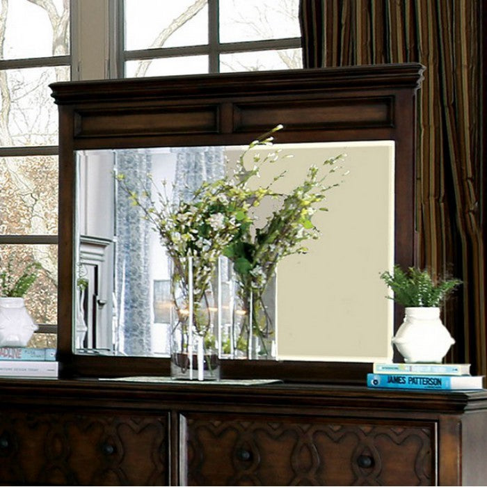 Minerva Transitional Style Mirror , Walnut