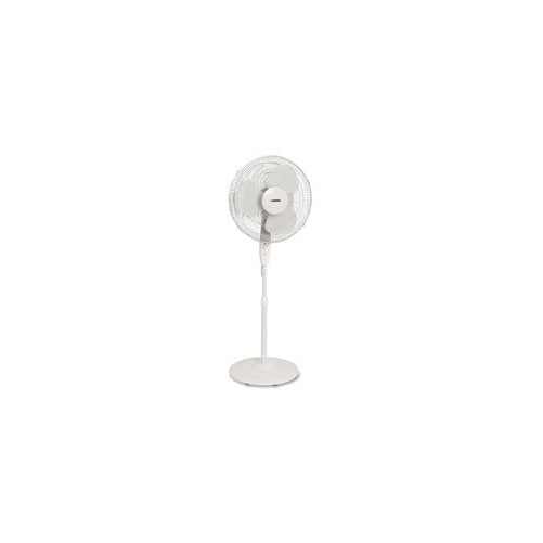 Lorell LLR49251 Floor Fan