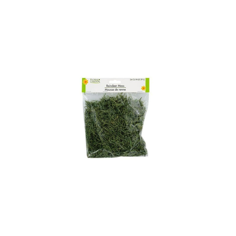 Floral Garden Reindeer Moss 24 CU IN (0.39 L)