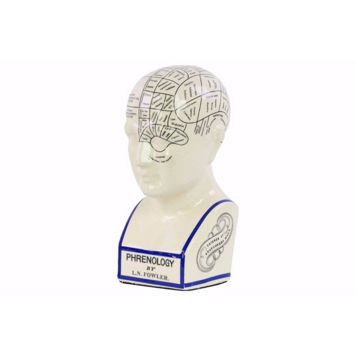 Phrenology Ceramic Bust with Printed Labels- Large- White- Benzara