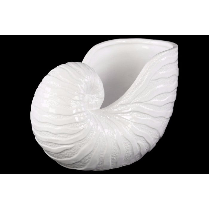 Ceramic Nautilus Seashell Sculpture Gloss Finish White - Benzara