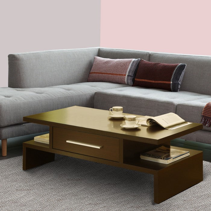 17 inch Contemporary 1 Drawer Wooden Coffee Table, Brown