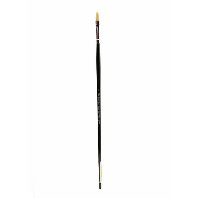 Winsor & Newton 5976702 Winton Hog Filbert #2 Bristle Brush