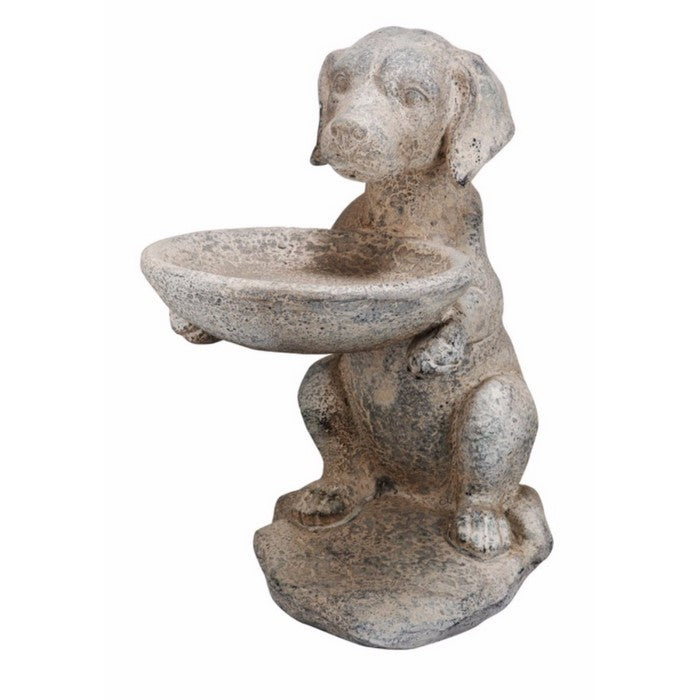 Well- Designed Dog Birdfeeder, White