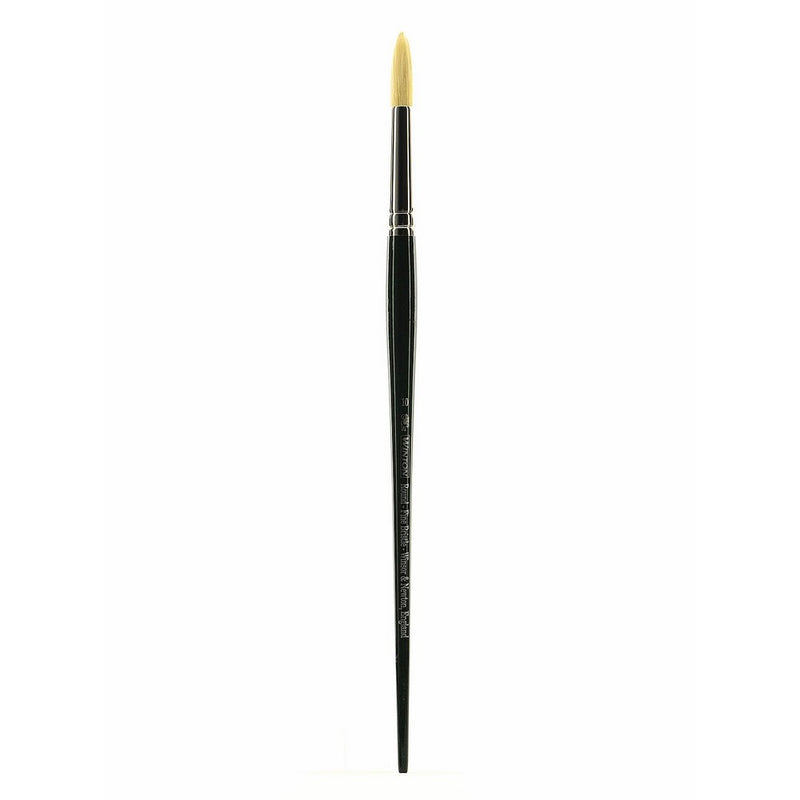 Winsor & Newton 5975710 Winton Hog Round #10 Bristle Brush