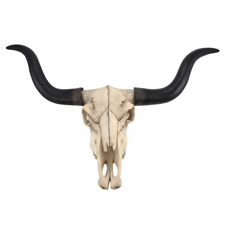 Long Horn Cow Skull Wall Hanging Longhorn Steer