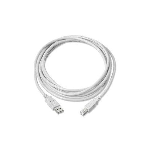 USB 2.0 Cable, A Male To B Male, White (6 feet)