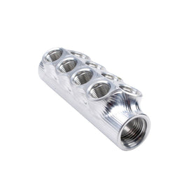 Aeromotive 14602 Fuel Distribution Log (10-Ports) (2) -10 AN, (8) -6 AN