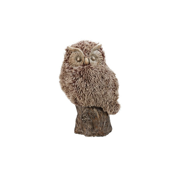 Distinctive Winsome Furry Owl, Brown