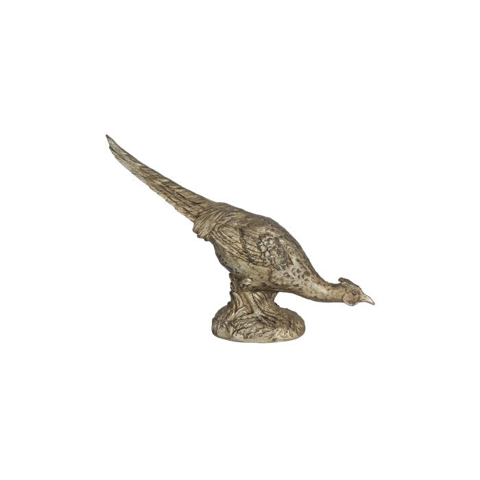 Grazing Long Tailed Arturo Pheasant Accent