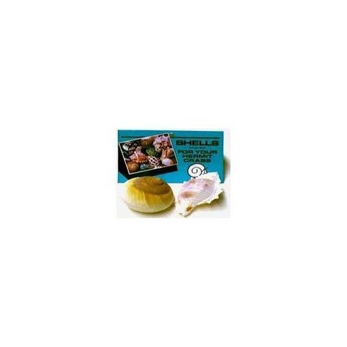Shells for Hermit Crabs - Large - 2 pk