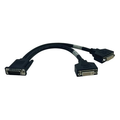 NEW 1ft DMS-59 to (2) DVI-I Female (Cables Audio & Video)