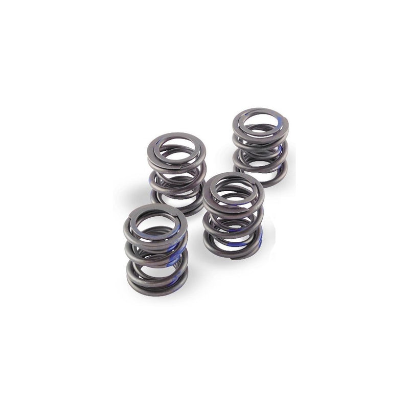 Andrews High Lift Valve Spring Set 272110