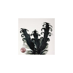 Black Nagorie Goose Feathers, 5" to 7" (10/Pack)