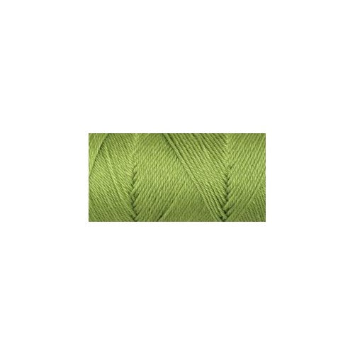 CaronSimply Soft Collection Yarn - (4) Medium Gauge 100% Acrylic - 6 oz -Pistachio-Machine Wash & Dry