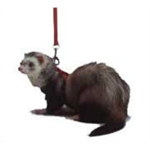 Marshall Ferret Harness and Lead, Red