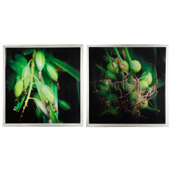 Botanical Photography Cotton Canvas Wall Art , Green, Set of 2,