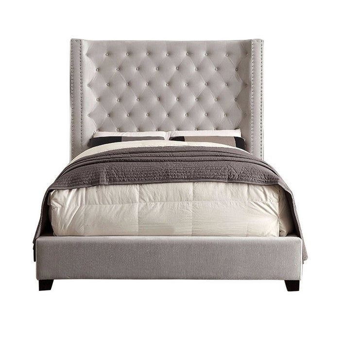 Upholstered Queen Size Bed With Wingback Headboard, Ivory