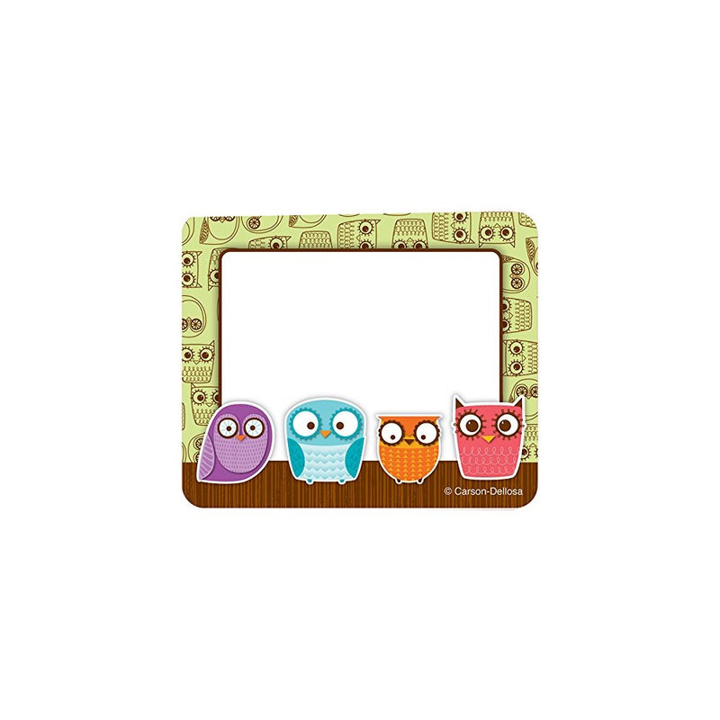 Carson Dellosa Owls Name Tags (150005)