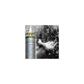 Coventry Creations Prosperity Blessed Herbal Candle