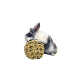 Peters Woven Grass Play Ball for Rabbits