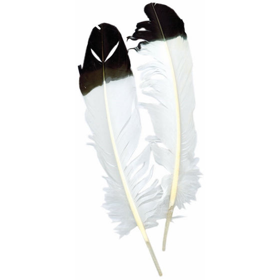 Zucker B702 Imitation Eagle Quill Feather, White, 2-Pack