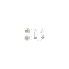 Plumb Pak PP23539 Adjustable Plastic Toilet Bolt Set