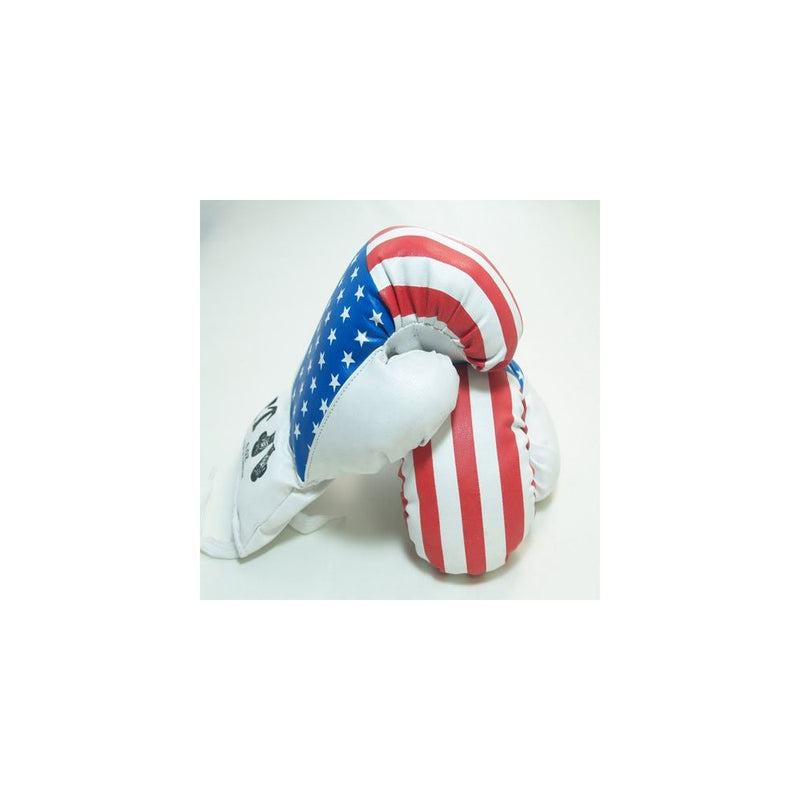 1 Pair USA 16oz Boxing Gloves New Punching Gloves